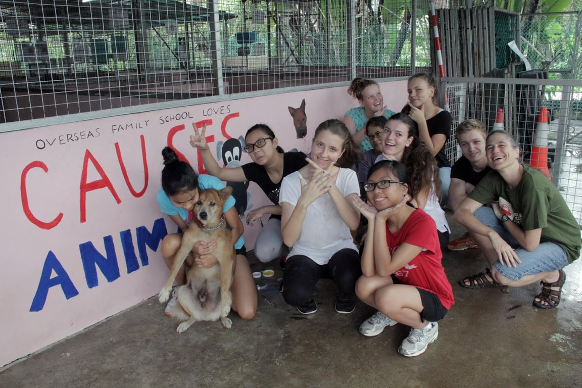 OFS students show off the mural they painted while they were volunteering at Causes for Animals - Singapore (CAS), an animal welfare charity.