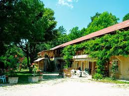 École Montessori Internationale Les Colibris — international school in Cote D Azur, France