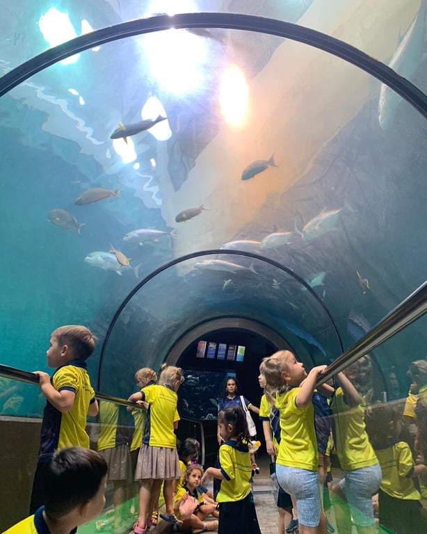  Students walking through an underwater tunnel at an aquarium.