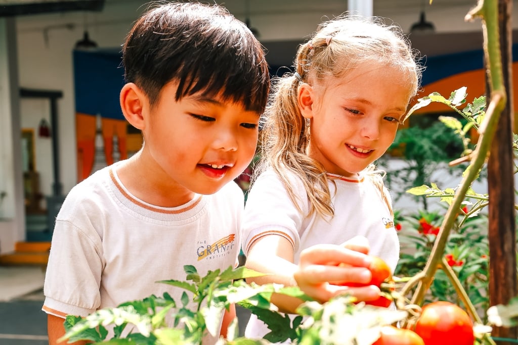 The school's award winning outdoor education has won 5 consecutive awards at the Singapore Education Awards 2021-2025.