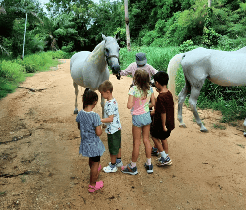 Children meeting horses during Summer School Week 1.