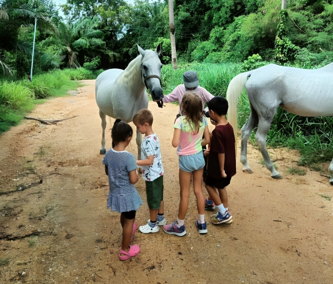 Children meeting horses during Summer School Week 1.