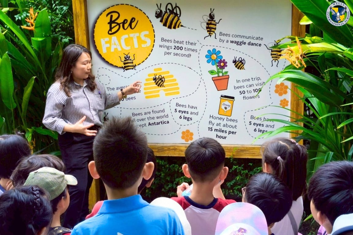 Field trip lesson on bee life and honey production.