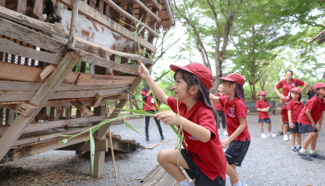 Students feeding animals during an outdoor learning trip.