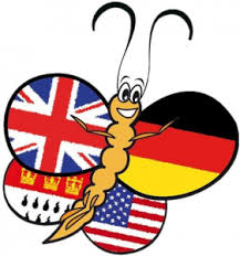 BilinGo Schools - Primary logo