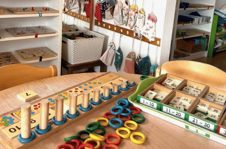 Taunus International Montessori School — international school in Frankfurt, Germany
