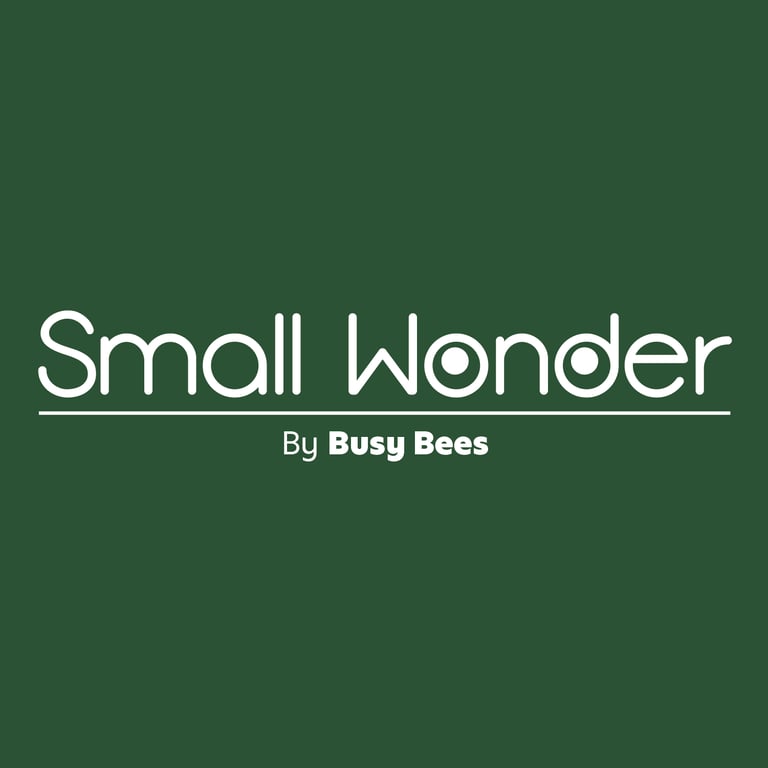 Small Wonder Malaysia - Taman Sutera logo