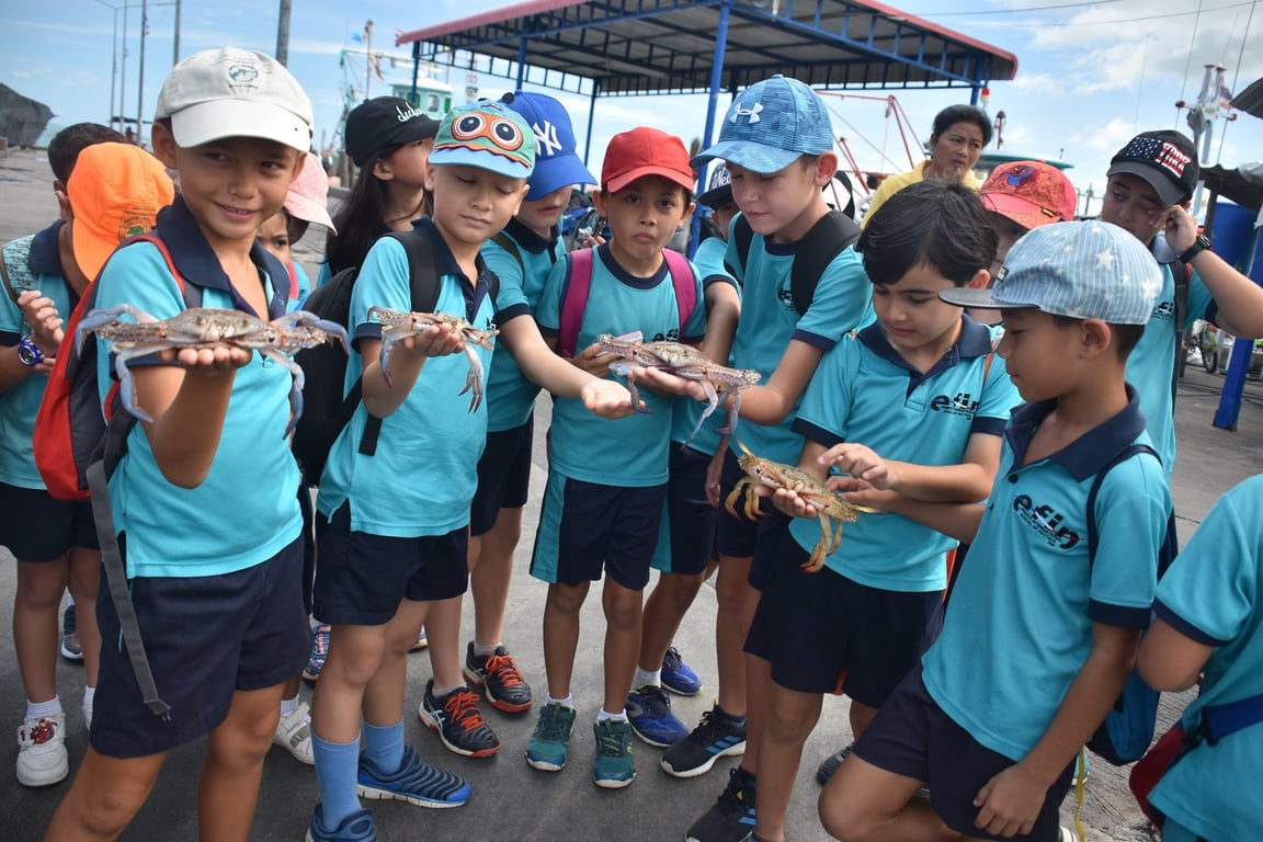 Marine life exploration on a school trip.