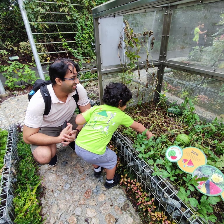 Exploring nature at Jacob Ballas Children’s Garden, where little hands discover the wonders of plants and the joy of learning outdoors!
