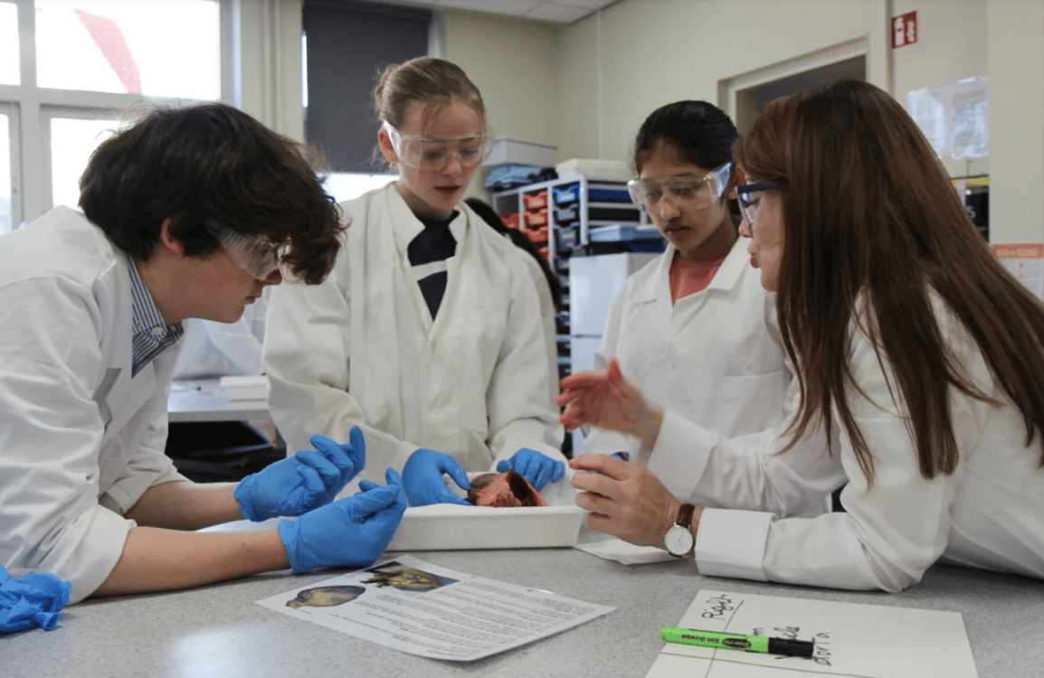 International School Haarlem - Secondary Campus — international school in Amsterdam, Netherlands