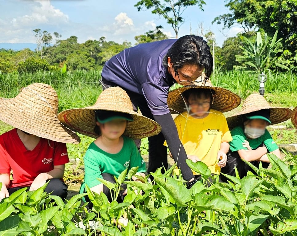 Year 1 and 2 students learning gardening skills on the farm.