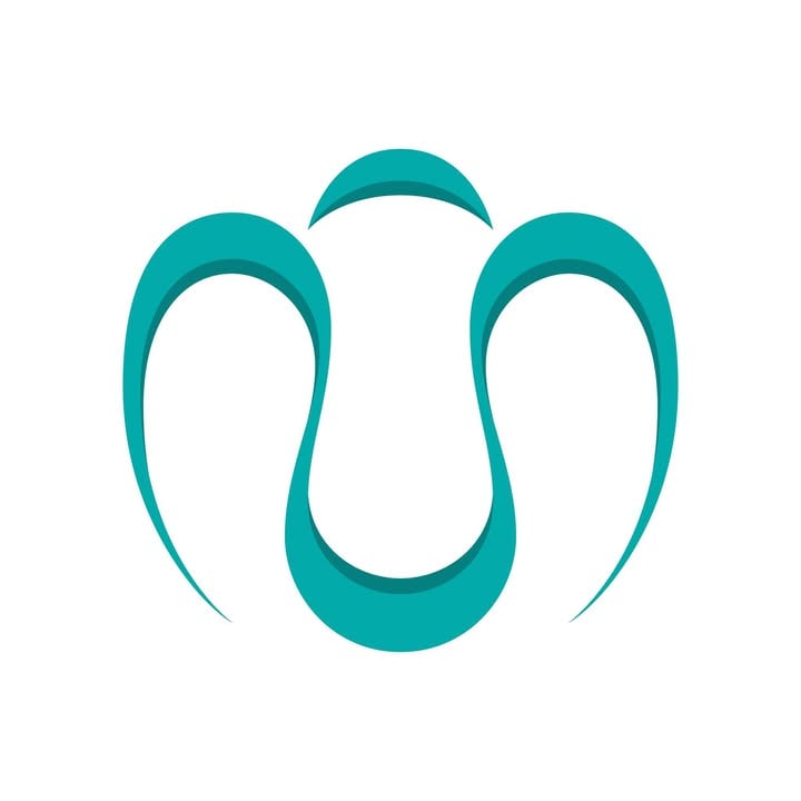 NUN Schools logo