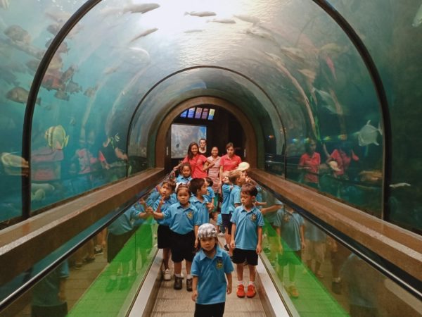 Children's on a school trip walking through an aquarium tunnel.