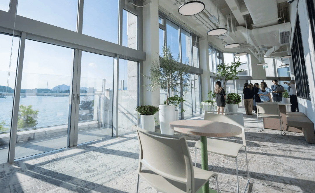 Stamford American School Hong Kong - West Kowloon — international school in Hong Kong, Hong Kong