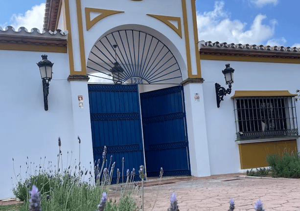 AIM School — international school in Malaga, Spain