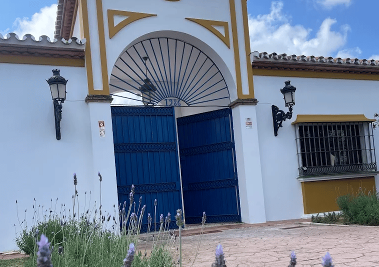 AIM School — international school in Spain