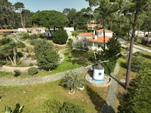 Hypha International School — international school in Lisbon, Portugal