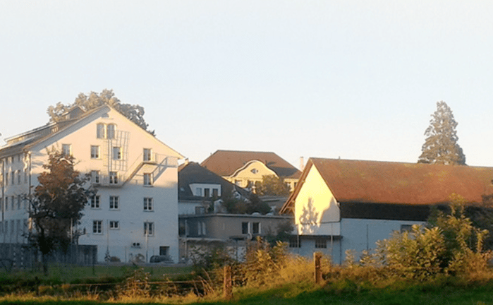 Japanese School in Zurich — international school in Zug, Switzerland