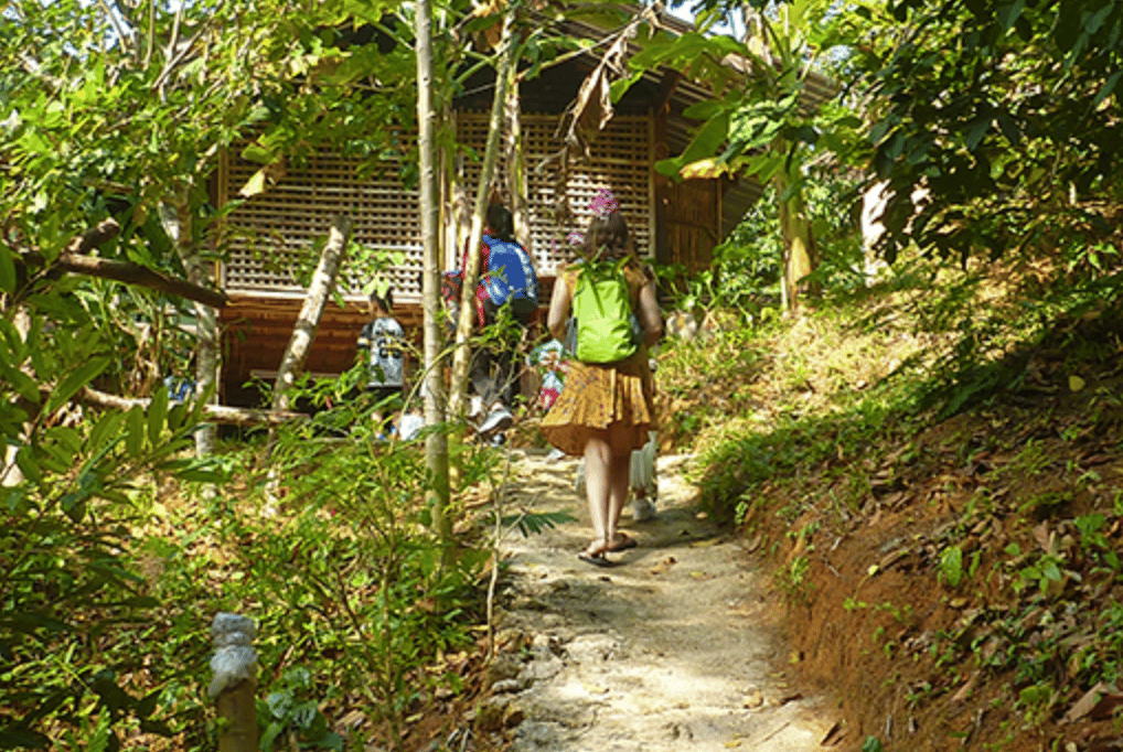 The Oak Waldorf Steiner Educational Center Phuket — international school in Phuket, Thailand
