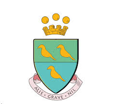 Clarence International School logo