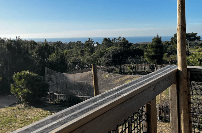 Foz School — international school in Setubal, Portugal
