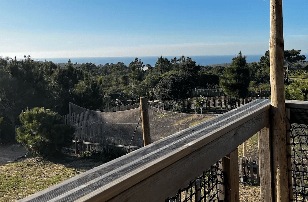 Foz School — international school in Setubal, Portugal