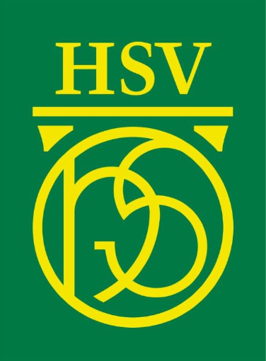HSV International Primary School - VNS logo