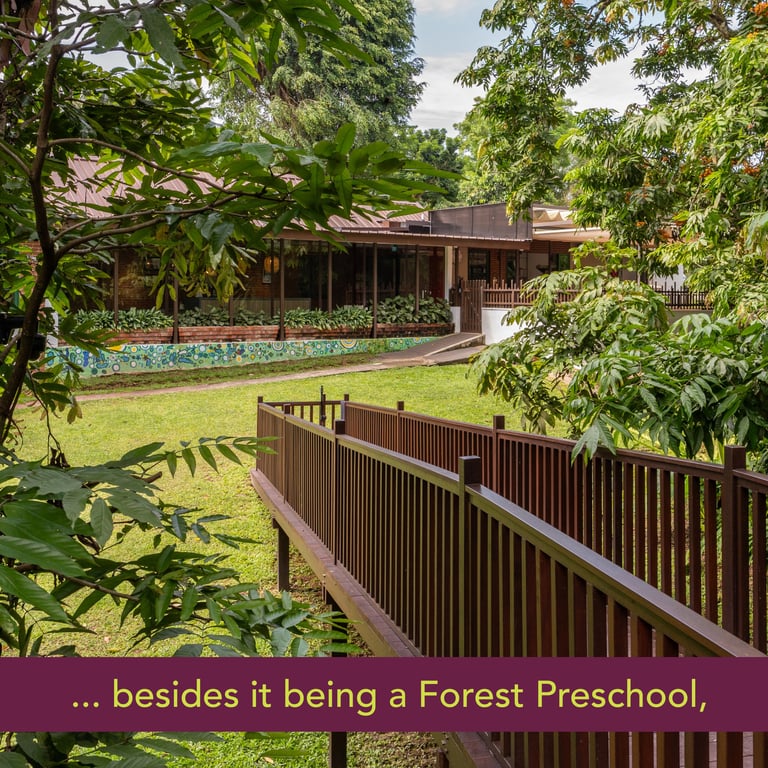 A view of one of the outdoor playgrounds, surrounded by nature and with a forest walkway