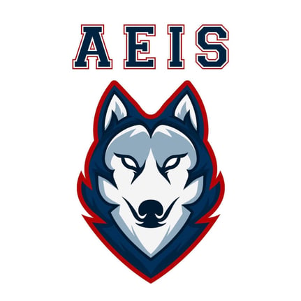 Albert Einstein International School logo