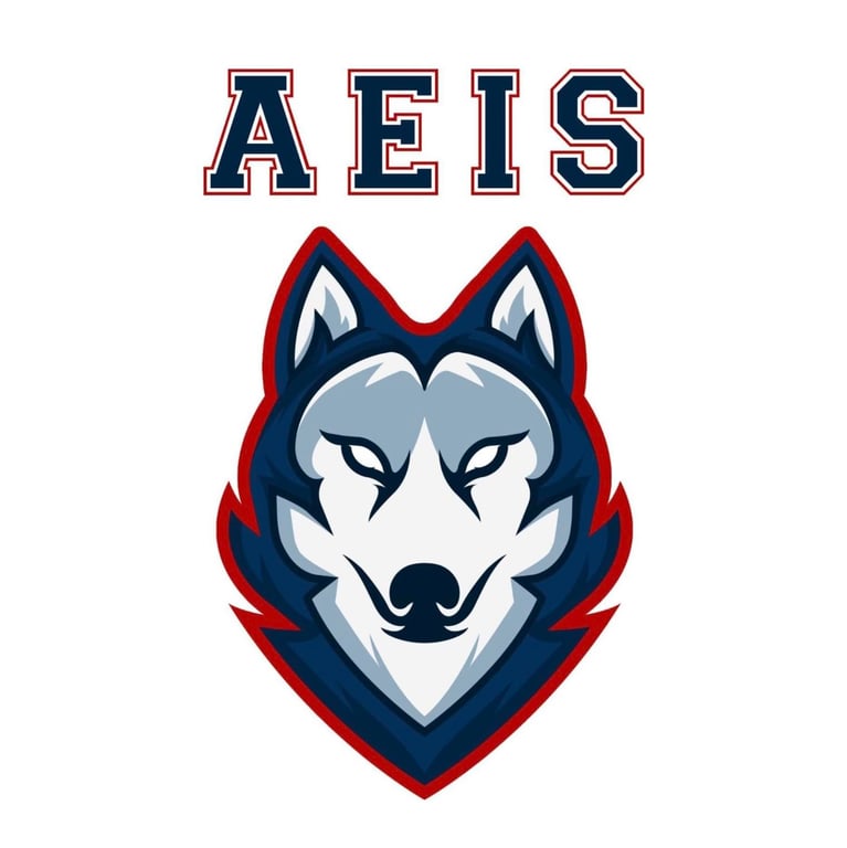 Albert Einstein International School logo