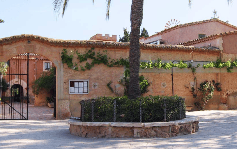 The Academy International School - Junior — international school in Mallorca, Spain