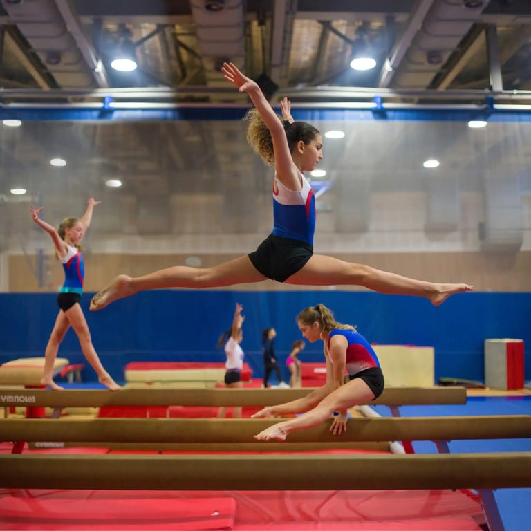 Stamford American International School gymnasium