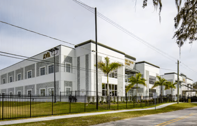 American Youth Academy — international school in Tampa, United States