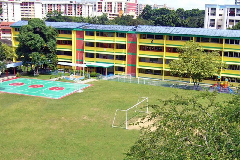 An aerial view of the DPS sports pitches and campus building.