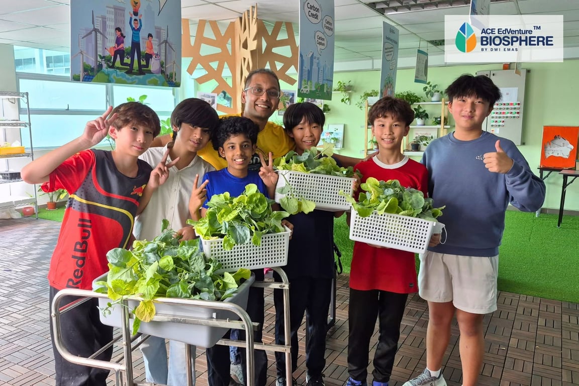 Dwi Emas International School — international school in Kuala Lumpur, Malaysia