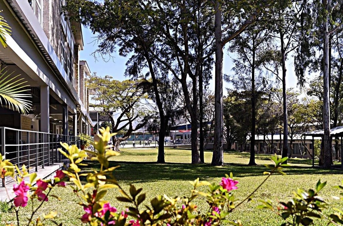 American School of Tegucigalpa — international school in Tegucigalpa, Honduras