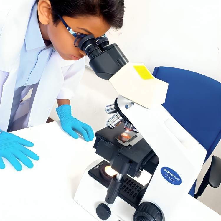 Close-up look at science in action with a microscope experiment.