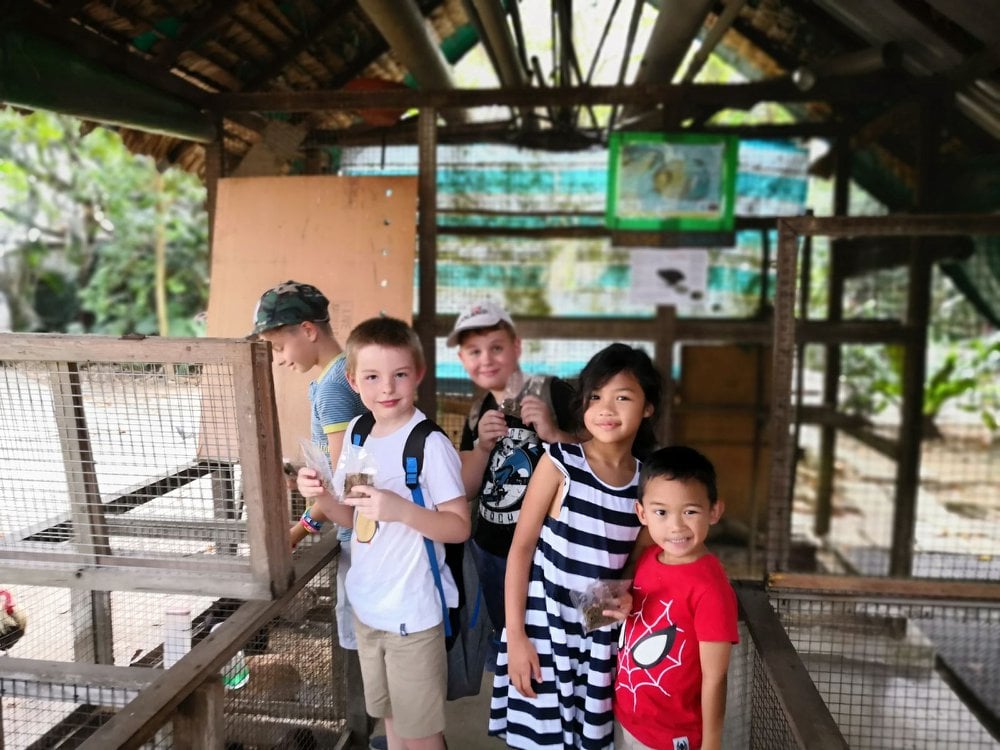 Students enjoying a school trip to a local Animal Resort