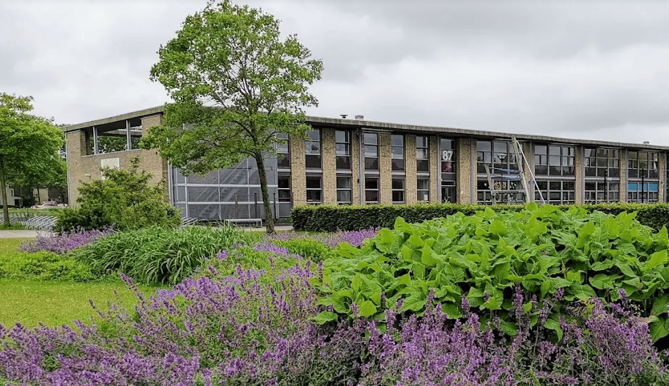 Optimist International School — international school in Amsterdam, Netherlands