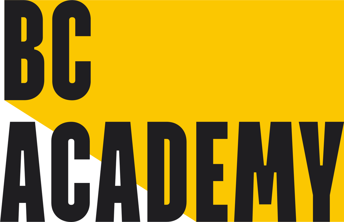 BC Academy International School logo