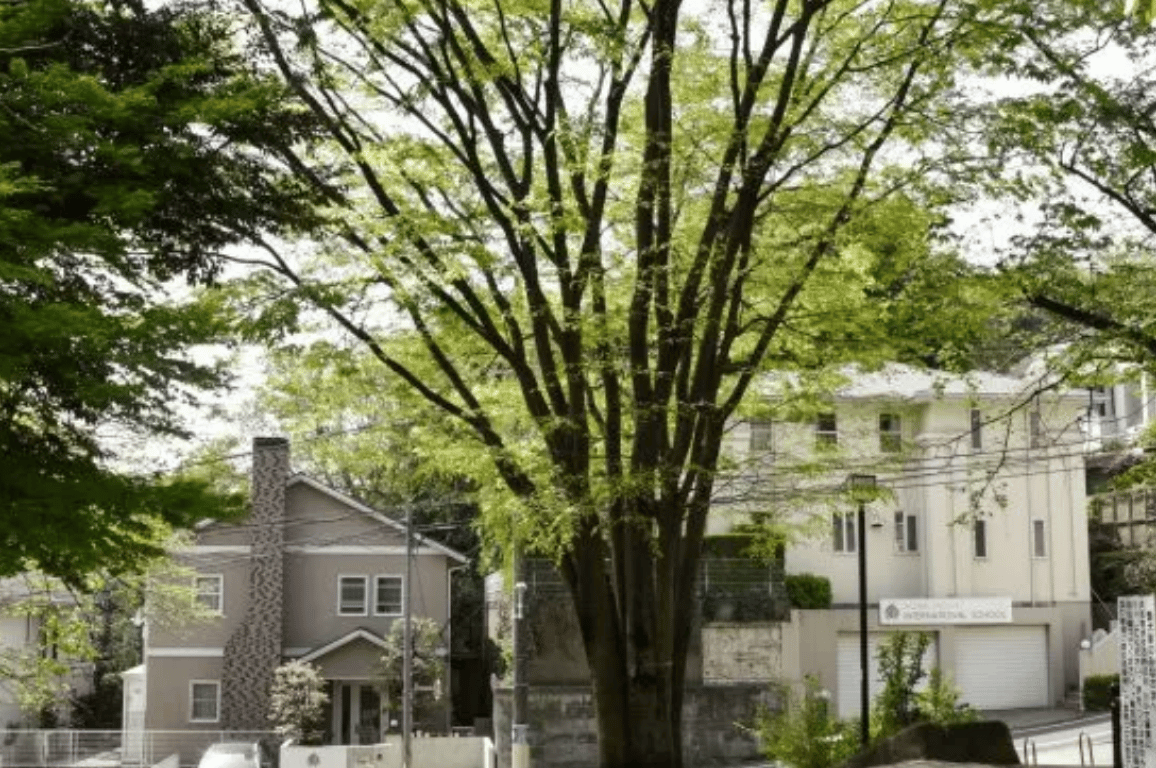 Aoba-Japan International School - Meguro Campus — international school in Tokyo, Japan