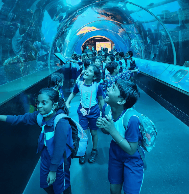 Students enjoying on a school trip to the Sea Aquarium.