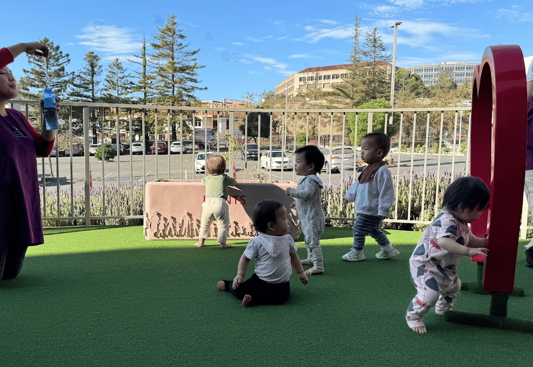 Pacific Rim International School — international school in San Mateo, United States