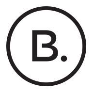 BASIS Prague logo