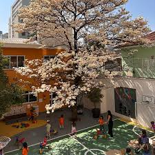 be.Living School — international school in Sao Paulo, Brazil