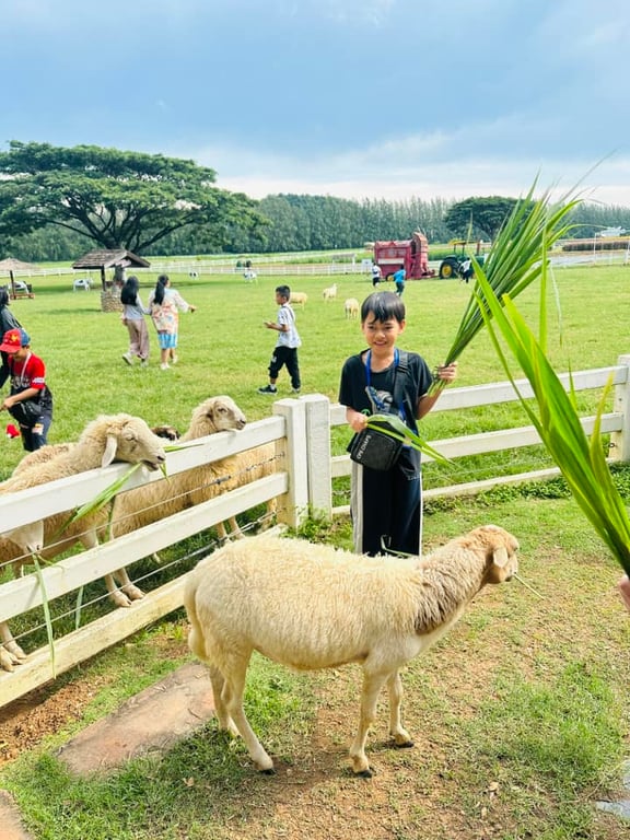 Wittaya Sathid students enjoying a day at the farm.