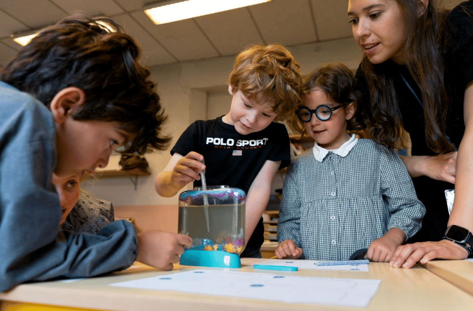 Ombrosa International School - The Nursery Lyon 6 — international school in Lyon, France