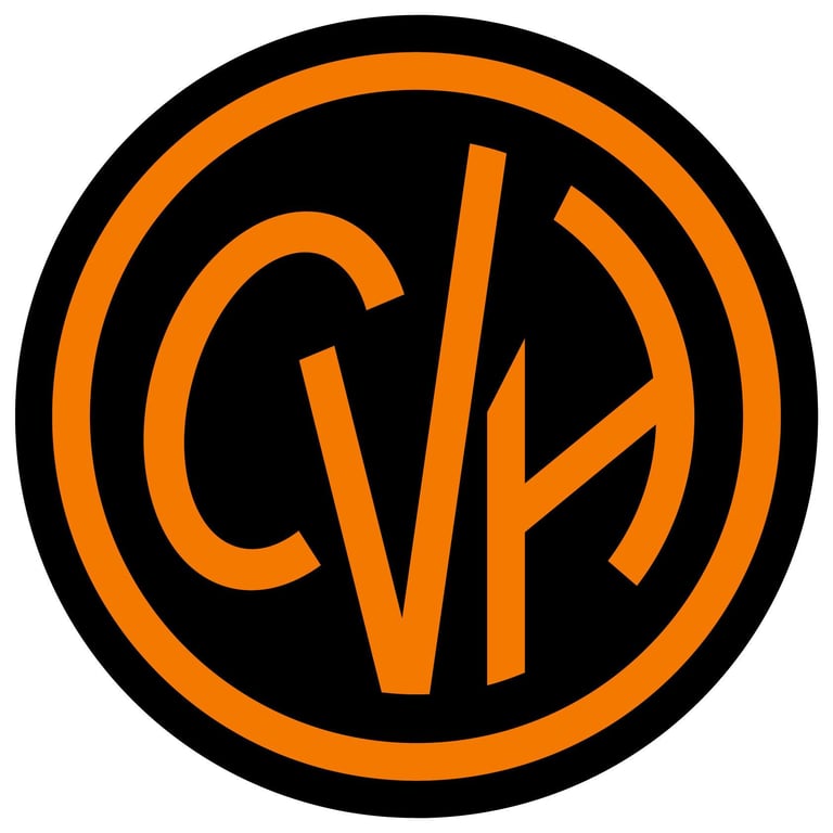 Colegio Vista Hermosa logo