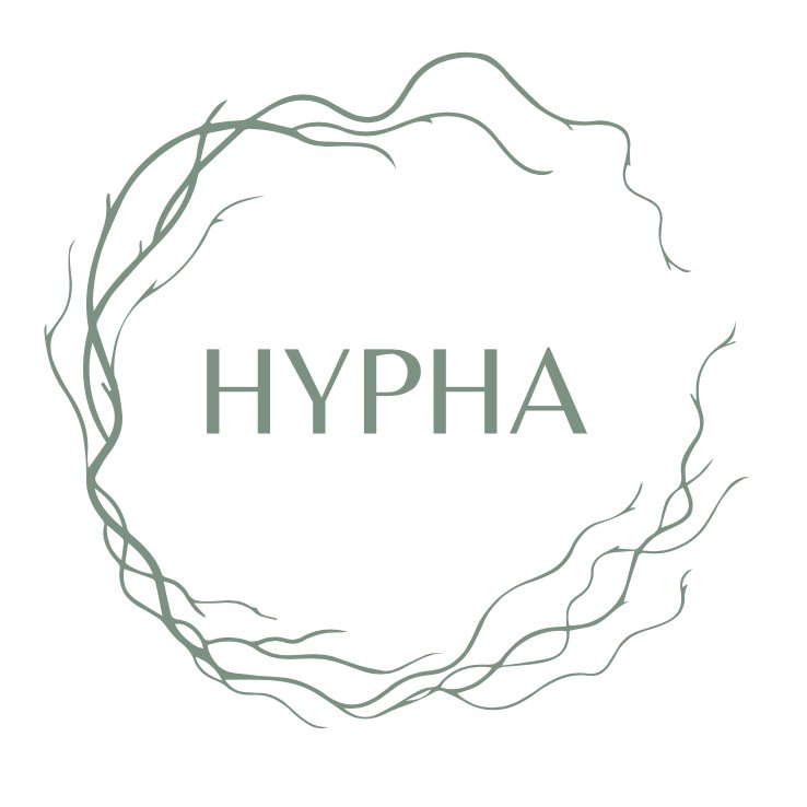Hypha International School logo