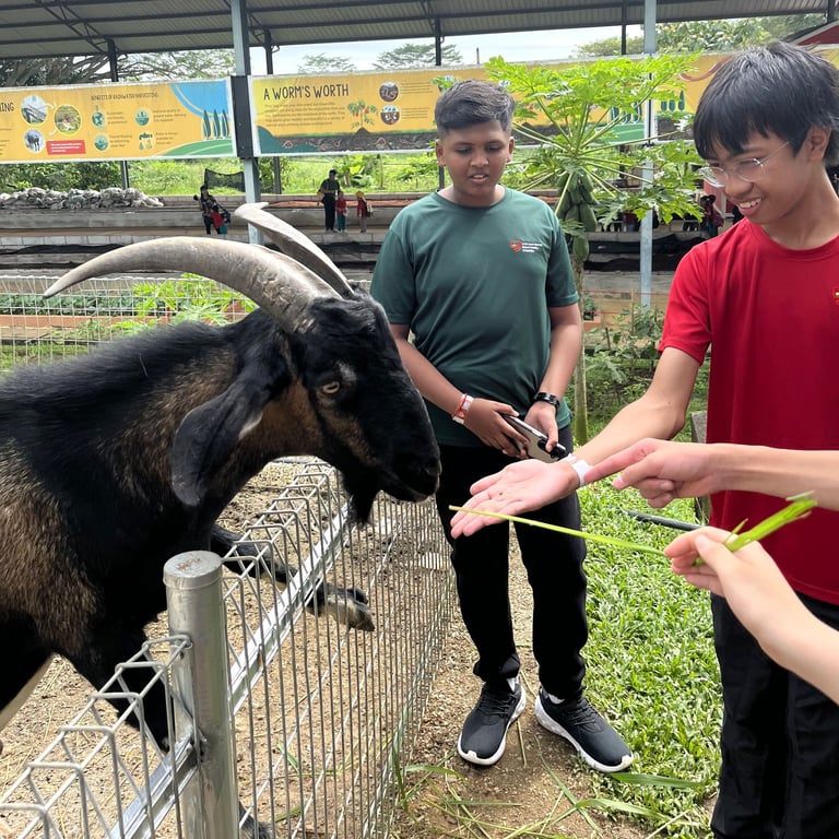 UUMISM students interact with animals during an educational farm trip.